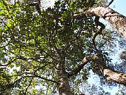 St. Augustine - Jan 2012 126